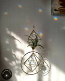 Attrape-soleil cristal avec Tillandsia dans une cage en